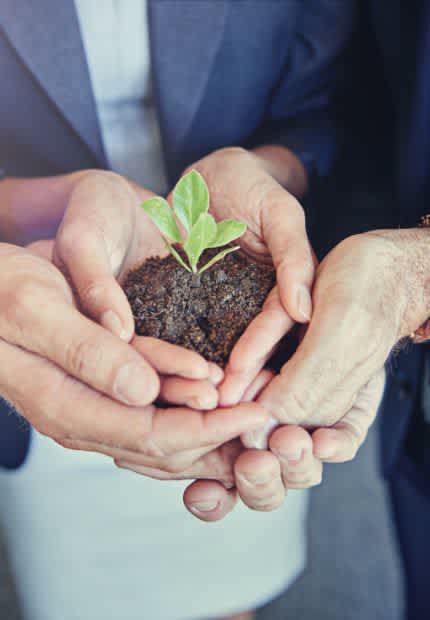 Ilustración de preguntas frecuentes